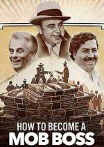 Watch How to Become a Mob Boss 9Movies