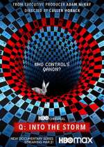 Watch Q: Into the Storm 9Movies