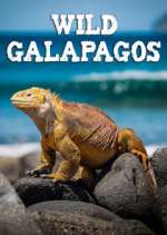 Watch Wild Galapagos 9Movies