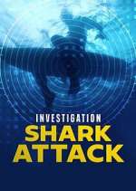Watch Investigation Shark Attack 9Movies