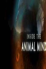 Watch Inside the Animal Mind 9Movies