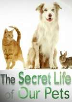 Watch The Secret Life of Our Pets 9Movies