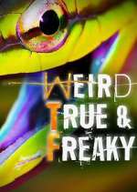 Watch Weird, True & Freaky 9Movies