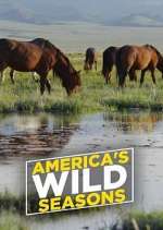 Watch America's Wild Seasons 9Movies