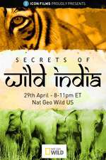 Watch Secrets of Wild India 9Movies