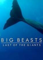Watch Big Beasts: Last of the Giants 9Movies