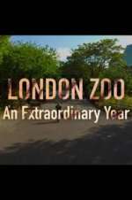 Watch London Zoo: An Extraordinary Year 9Movies