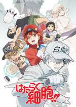 Watch Cells at Work! 9Movies