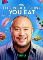 Watch The Next Thing You Eat 9Movies