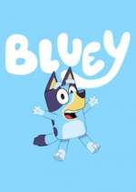 Watch Bluey 9Movies