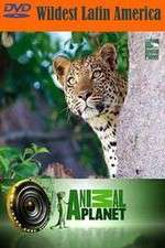 Watch Wildest Latin America 9Movies