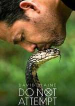 Watch David Blaine Do Not Attempt 9Movies