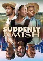 suddenly amish season 1 episode 6 tv poster