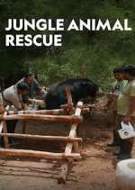 Watch Jungle Animal Rescue 9Movies