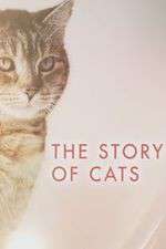 Watch The Story of Cats 9Movies
