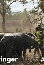 Watch Outback Ringer 9Movies