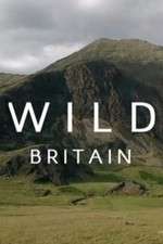 Watch Wild Britain 9Movies