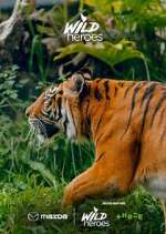 Watch Wild Heroes 9Movies