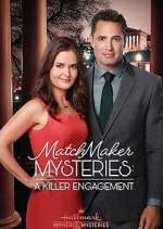 Watch The Matchmaker Mysteries 9Movies