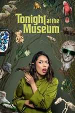 Watch Tonight At The Museum 9Movies