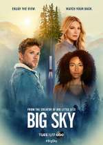 Watch Big Sky 9Movies