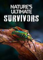 Watch Nature\'s Ultimate Survivors 9Movies