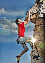 Watch Fight to Survive 9Movies