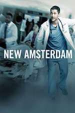 Watch New Amsterdam 9Movies