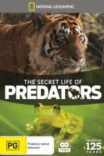 Watch Secret Life of Predators 9Movies
