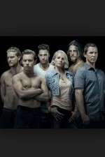 Watch Animal Kingdom 9Movies