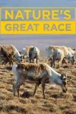 Watch Nature's Great Race 9Movies