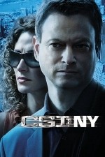 Watch CSI: NY / New York 9Movies