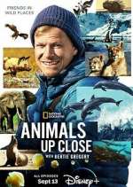 Watch Animals Up Close with Bertie Gregory 9Movies
