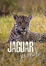 Watch Jaguar Journals 9Movies