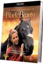 Watch The New Adventures of Black Beauty 9Movies