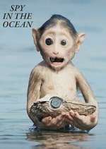 Watch Spy in the Ocean 9Movies