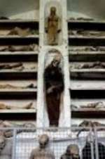 Watch Mummies Never Die 9Movies