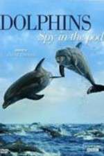 Watch Dolphins: Spy in the Pod 9Movies