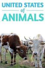 Watch United States of Animals 9Movies
