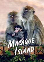 Watch Macaque Island 9Movies
