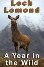 Watch Loch Lomond: A Year in the Wild 9Movies
