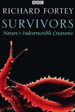 Watch Survivors: Nature's Indestructible Creatures 9Movies