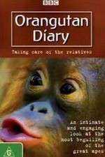 Watch Orangutan Diary 9Movies