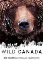 Watch Wild Canada 9Movies