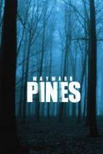 Watch Wayward Pines 9Movies