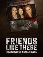 Watch Friends Like These: The Murder of Skylar Neese 9Movies