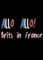 Watch Allo Allo! Brits in France 9Movies