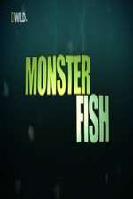 Watch National Geographic Monster Fish 9Movies