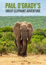 Watch Paul O'Grady's Great Elephant Adventure 9Movies