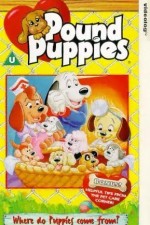 Watch Pound Puppies 9Movies